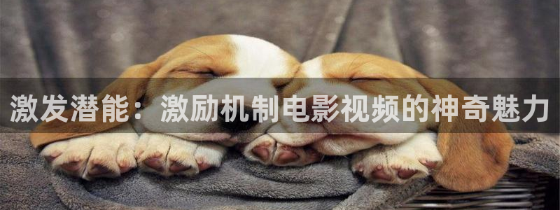 西瓜大影院