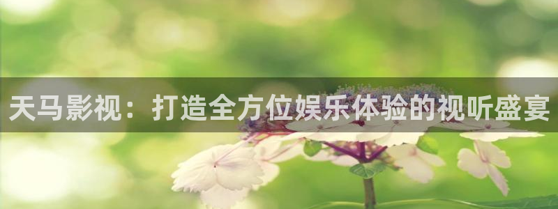 法网追凶36集西瓜免费观看