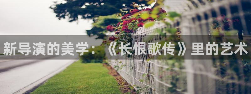 唐人街探案2免费观看完整版西瓜