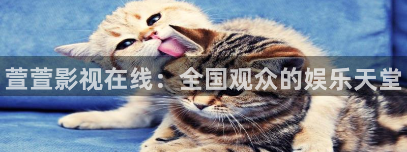 超大西瓜