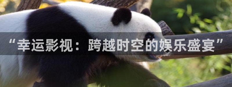 西瓜影院555