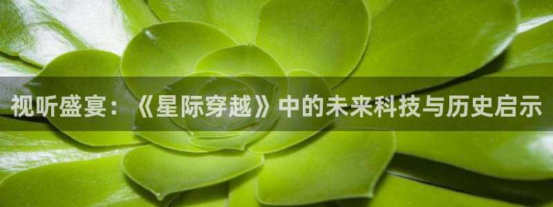 我们的法则免费完整版观看西瓜