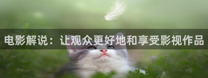 西瓜电影伦理
