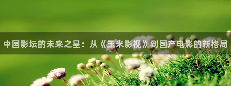 西瓜影院高清免费播放电视剧