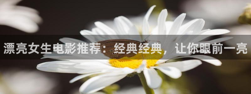 西瓜午夜电影