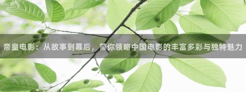 色戒西瓜电影