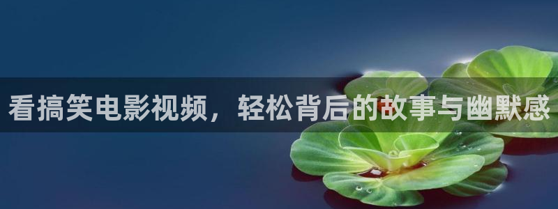 西瓜影视官网