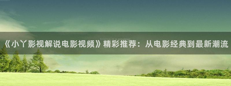 伦理片西瓜