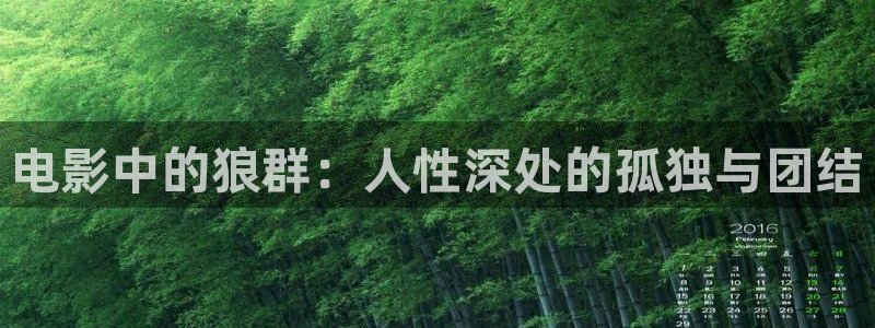 走向共和免费观看全集西瓜