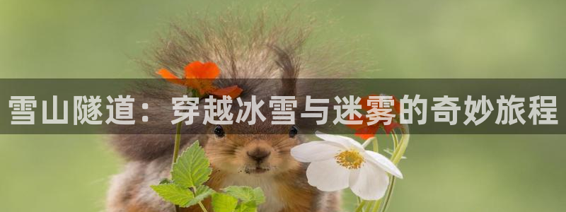 在线观看西瓜视频