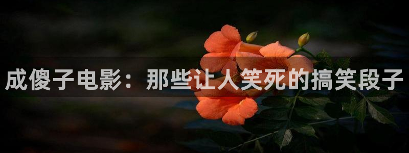 我的阿勒泰全集免费观看西瓜影院