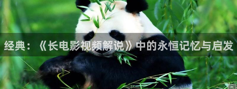 西瓜影院免费全部电影