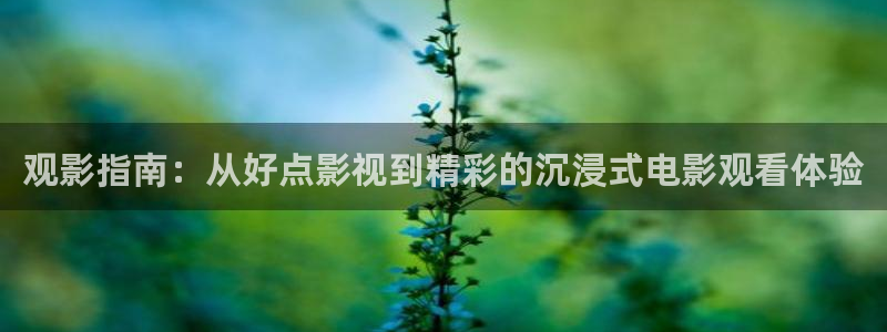 西瓜视频免费下