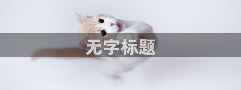 手机西瓜影院