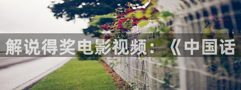 新闻图片
